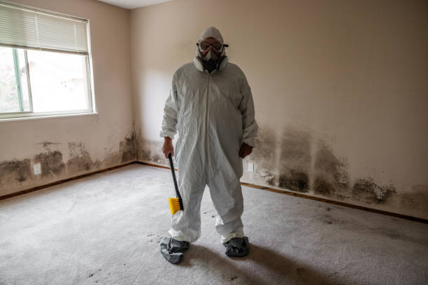 Best Biohazard Mold Removal  in Brickerville, PA